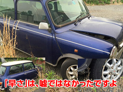 本当に古い車も買い取ってくれた。
