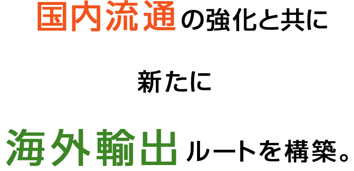 国内流通の強化と共に新たに海外輸出ルートを構築